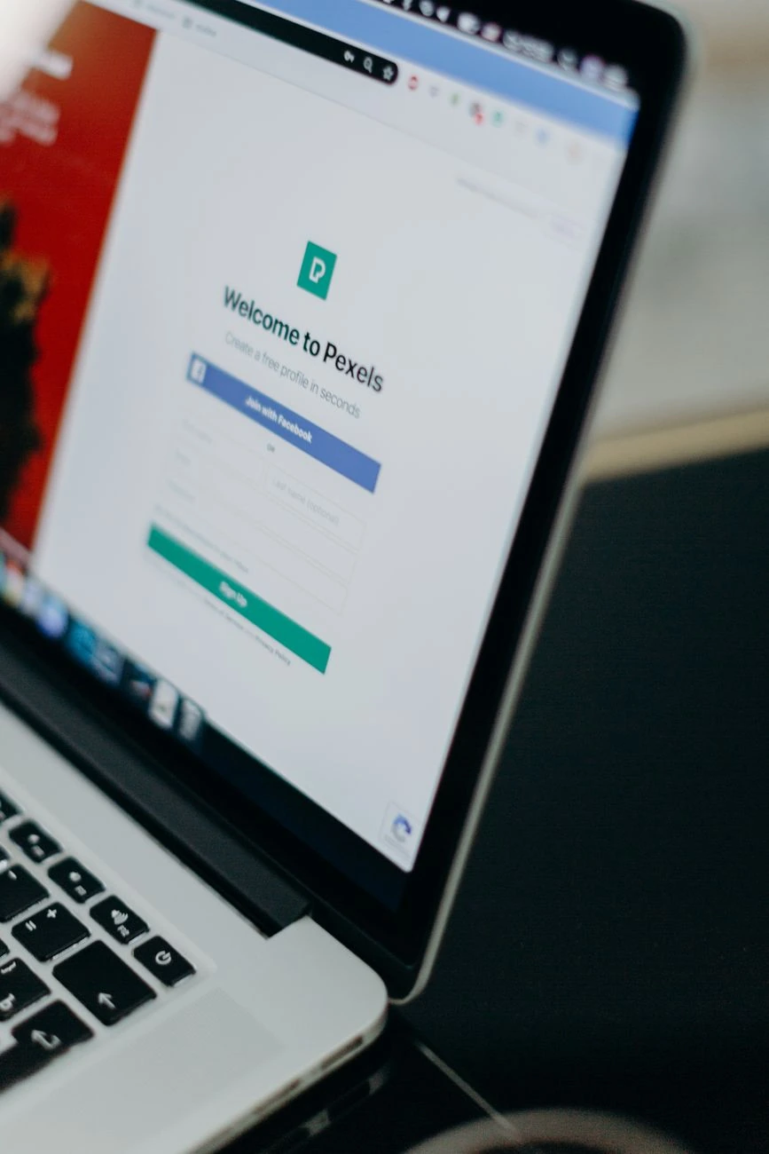 web design professional